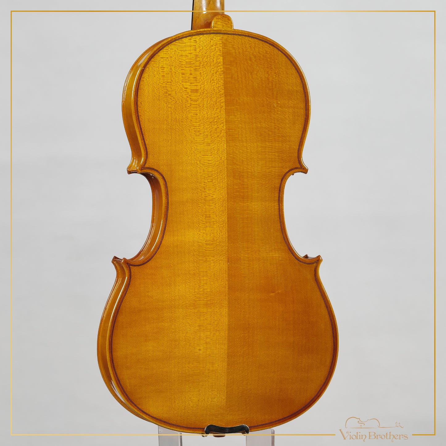 New Viola A1 16" | V21364