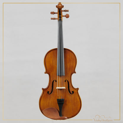 New Viola A1 16" | V21364