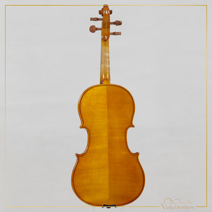 New Viola A1 16" | V21364