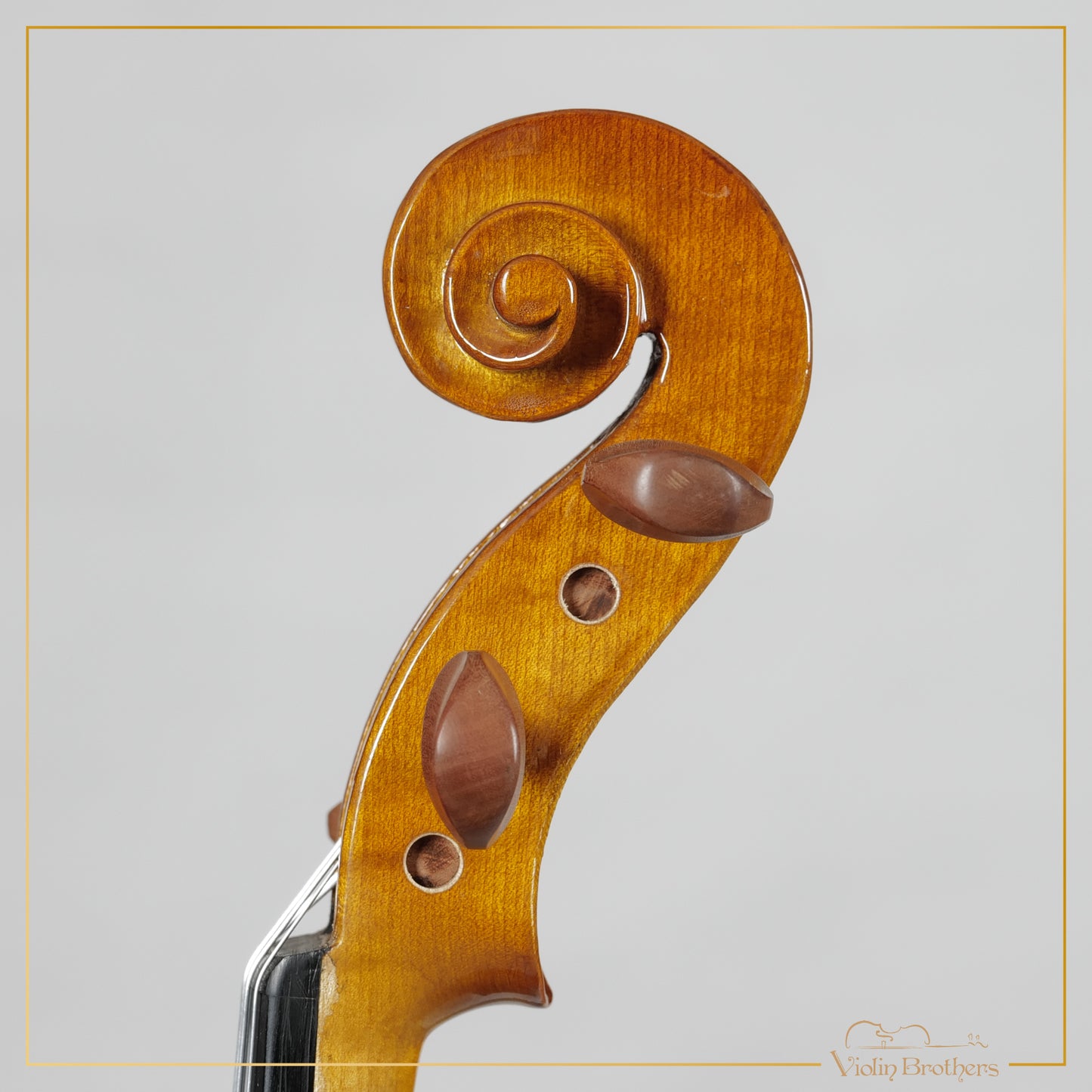 New Viola A1 16" | V21364