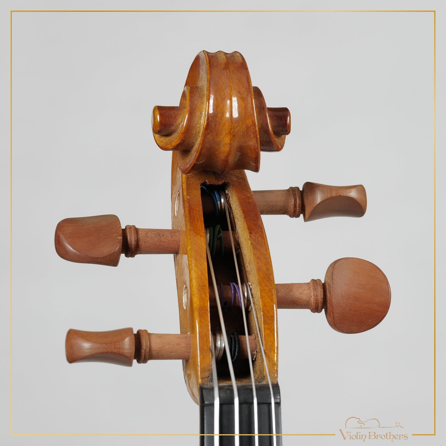 New Viola A1 16" | V21364