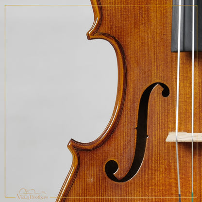 New Viola A1 16" | V21364