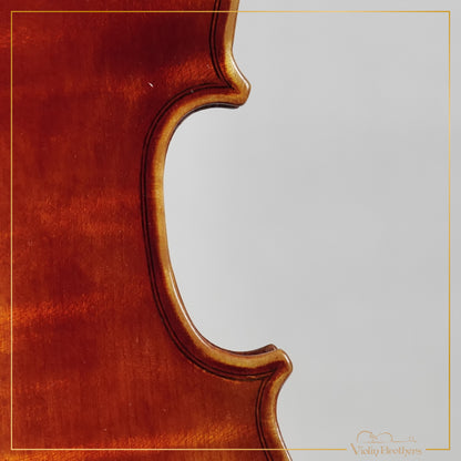 New Viola A1a 11" | V21736
