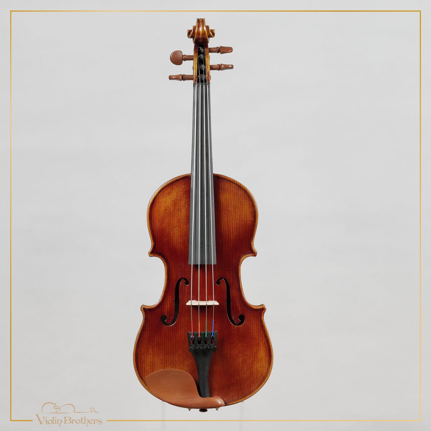 New Viola A1a 11" | V21736