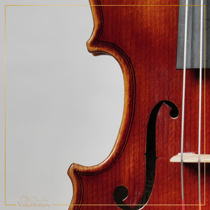 New Viola A1a 11" | V21736