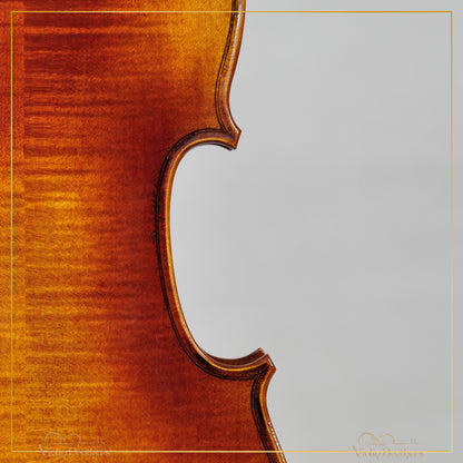 New Viola A1a 14" | V23674
