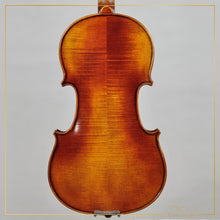 New Viola A1a 14" | V23674
