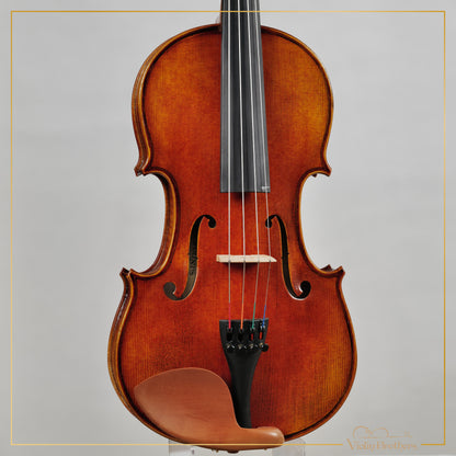 New Viola A1a 14" | V23674