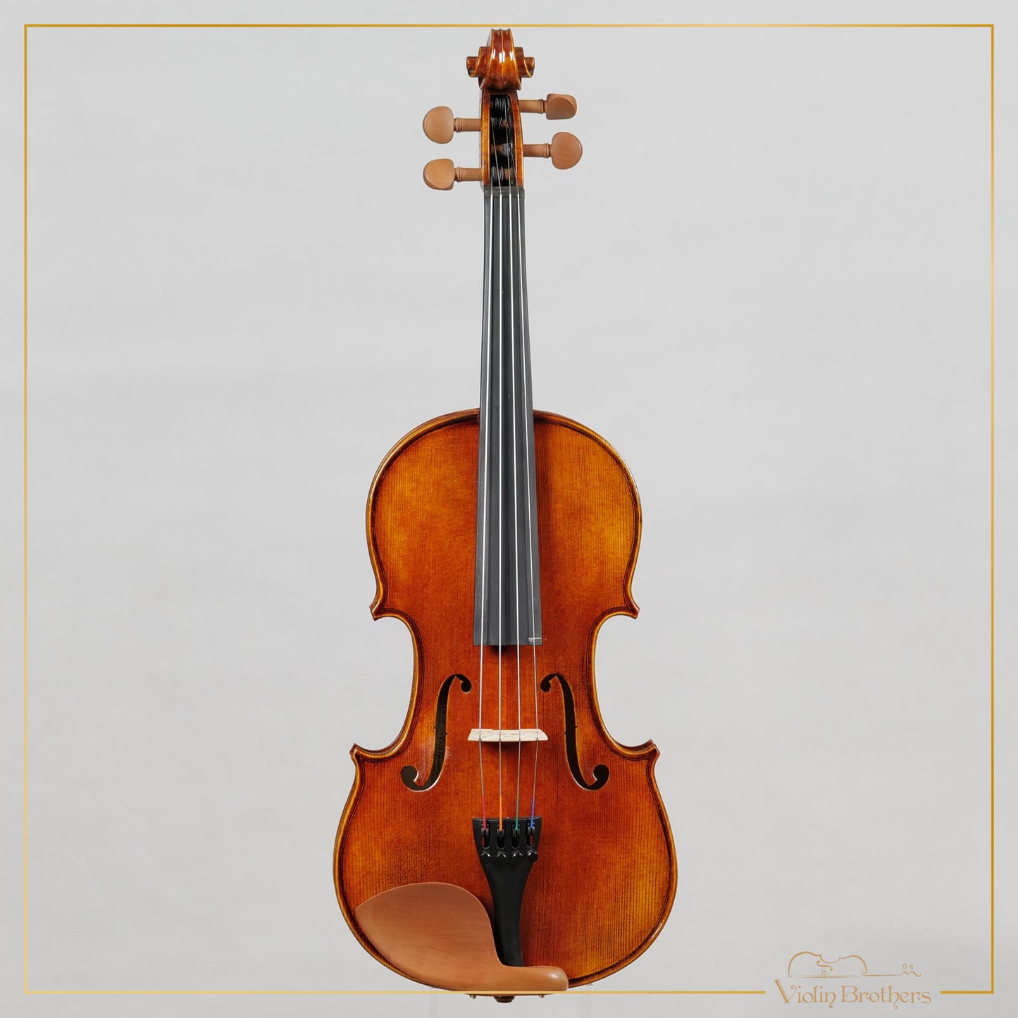 New Viola A1a 14" | V23674
