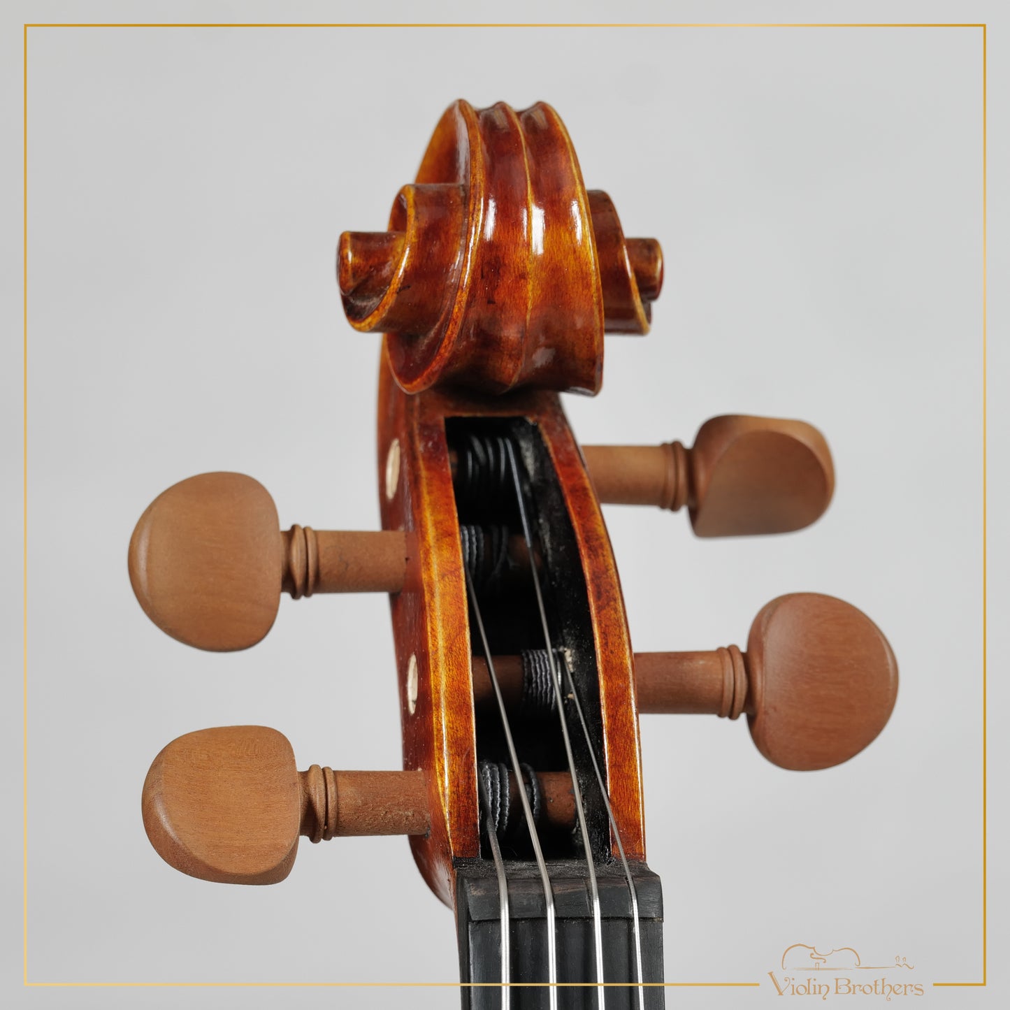 New Viola A1a 14" | V23674
