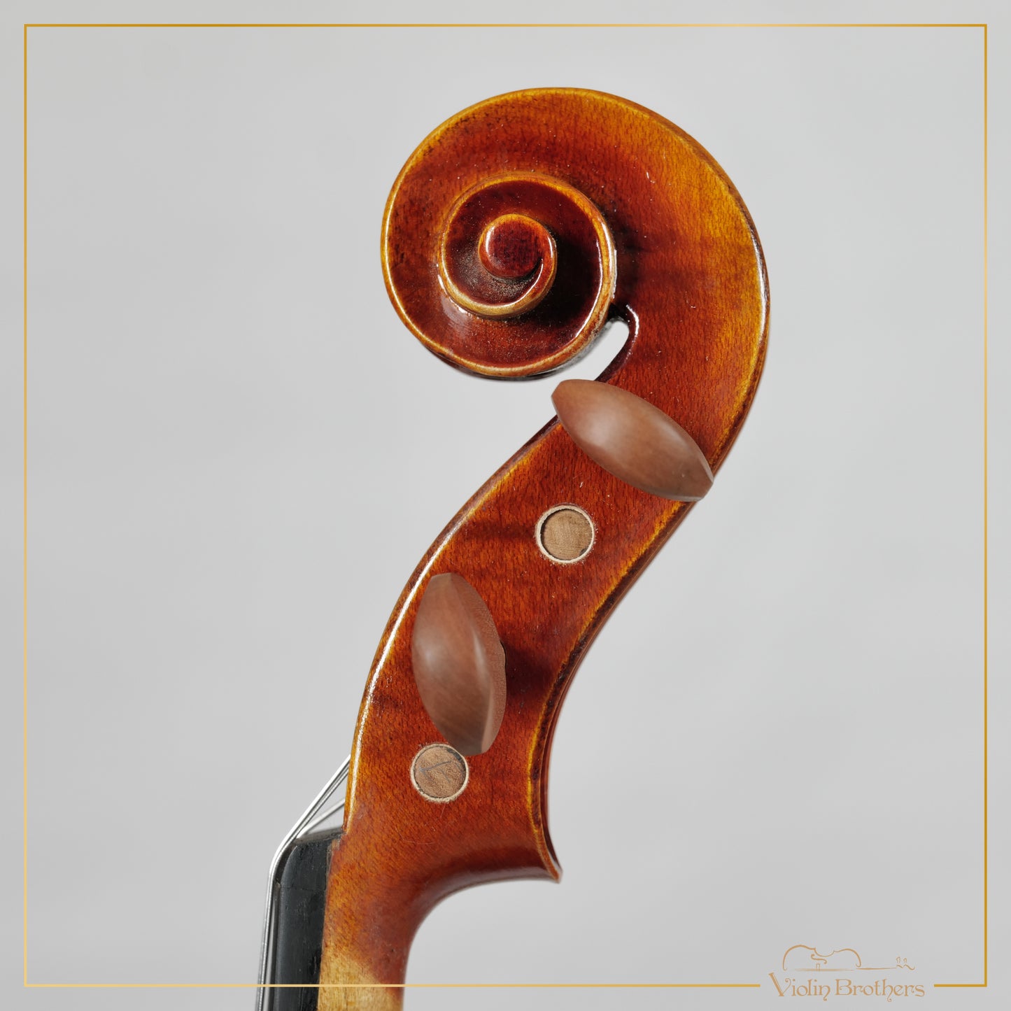 New Viola A1a 14" | V23674