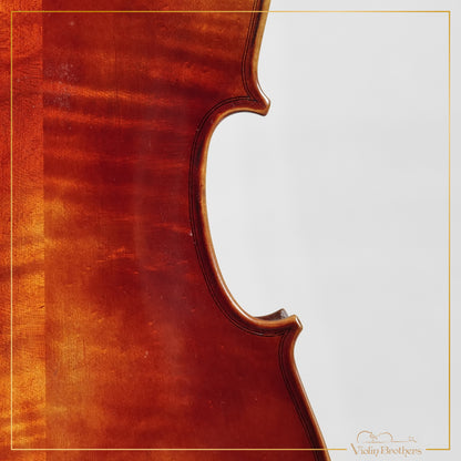 New Viola A1a 15.5" | V25333
