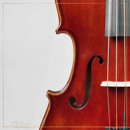 New Viola A1a 15.5" | V25333