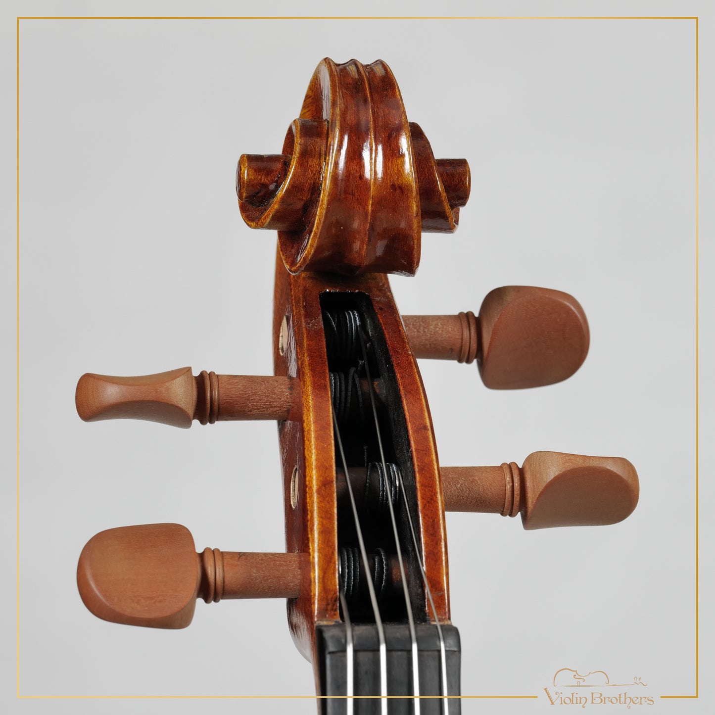 New Viola A1a 15" | V23674