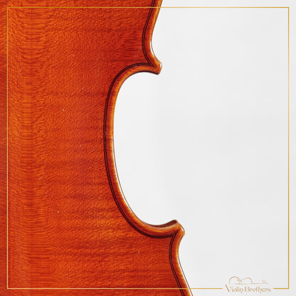 New Viola A2 14" | V28563