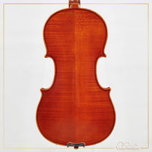 New Viola A2 14" | V28563