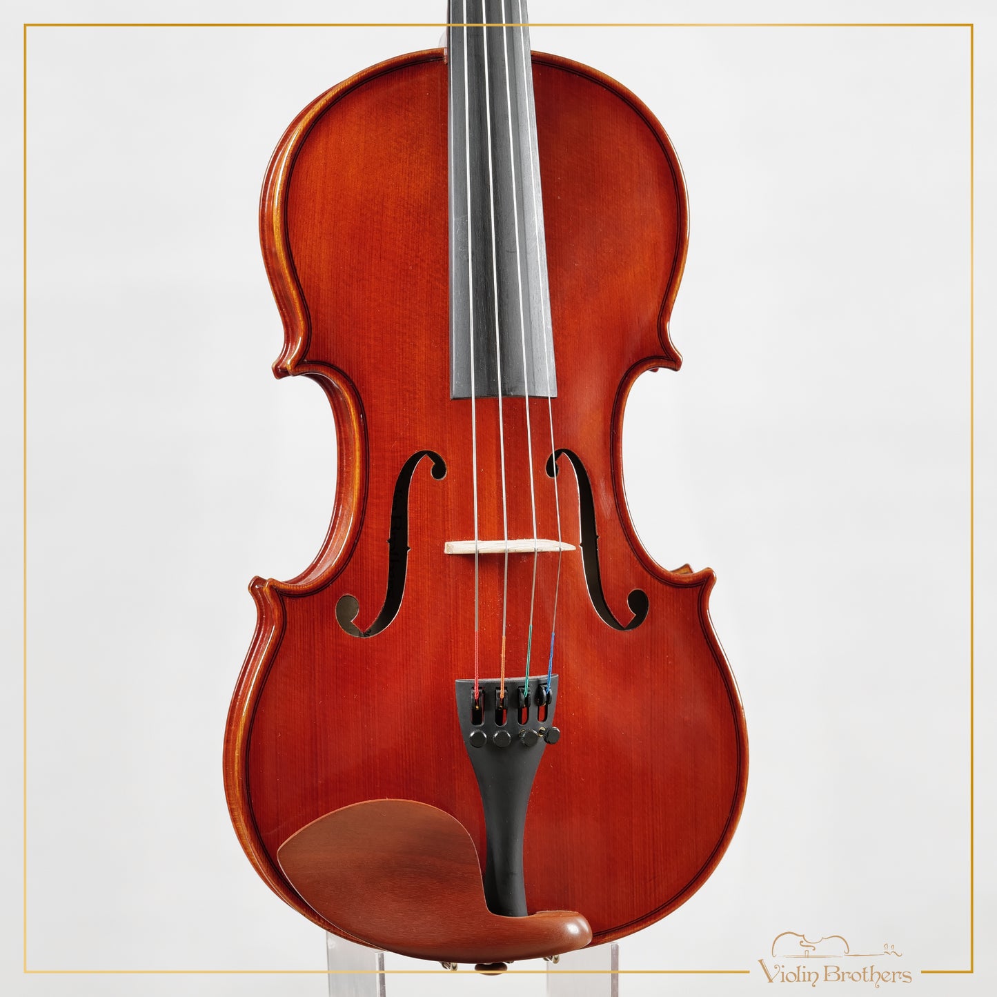New Viola A2 14" | V28563