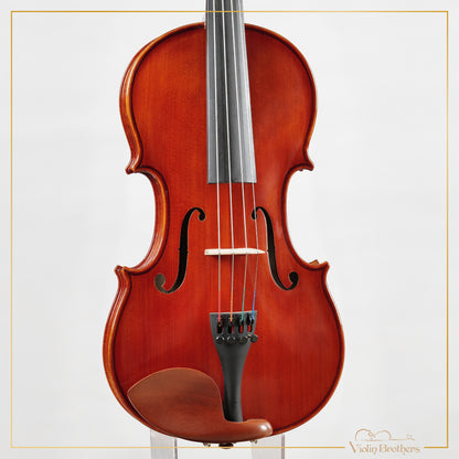 New Viola A2 14" | V28563