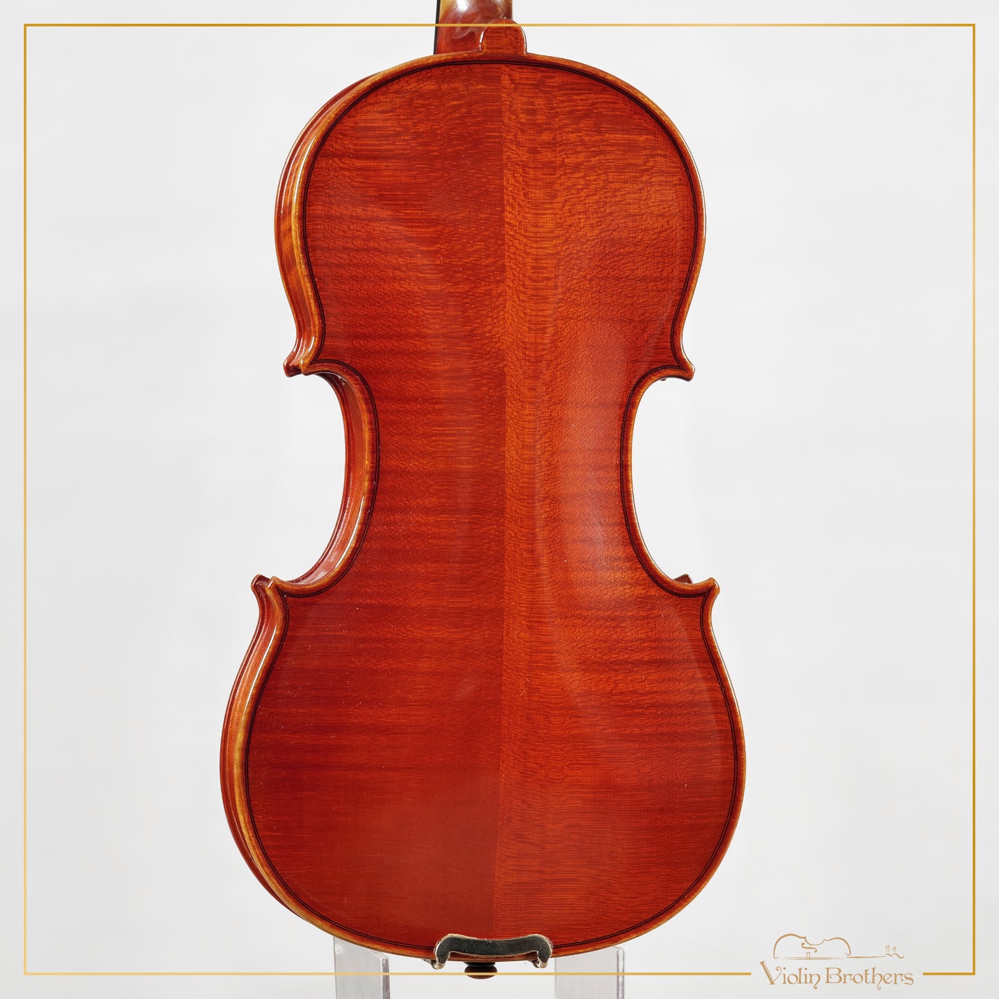 New Viola A2 14" | V28563