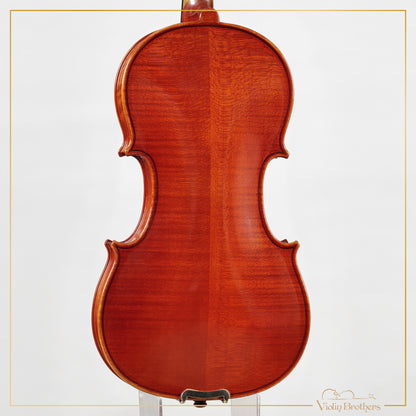 New Viola A2 14" | V28563