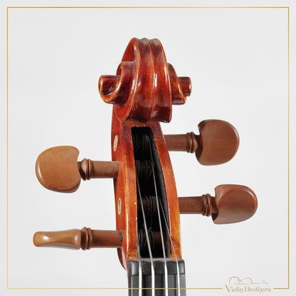 New Viola A2 14" | V28563