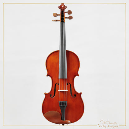 New Viola A2 14" | V28563