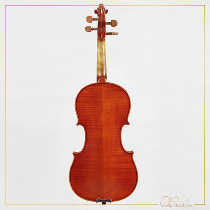 New Viola A2 14" | V28563