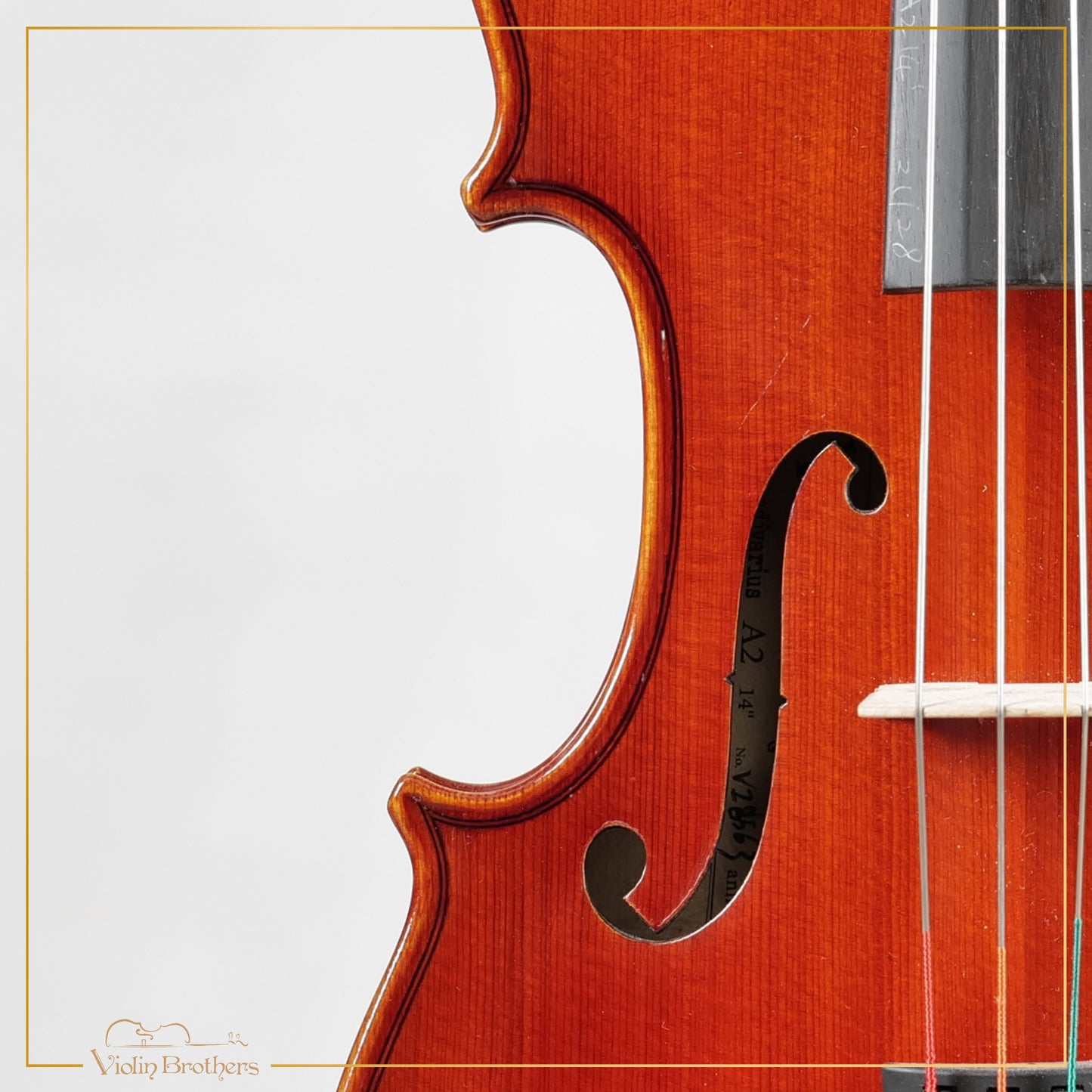 New Viola A2 14" | V28563