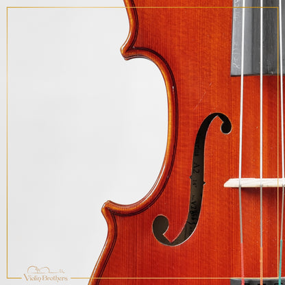 New Viola A2 14" | V28563