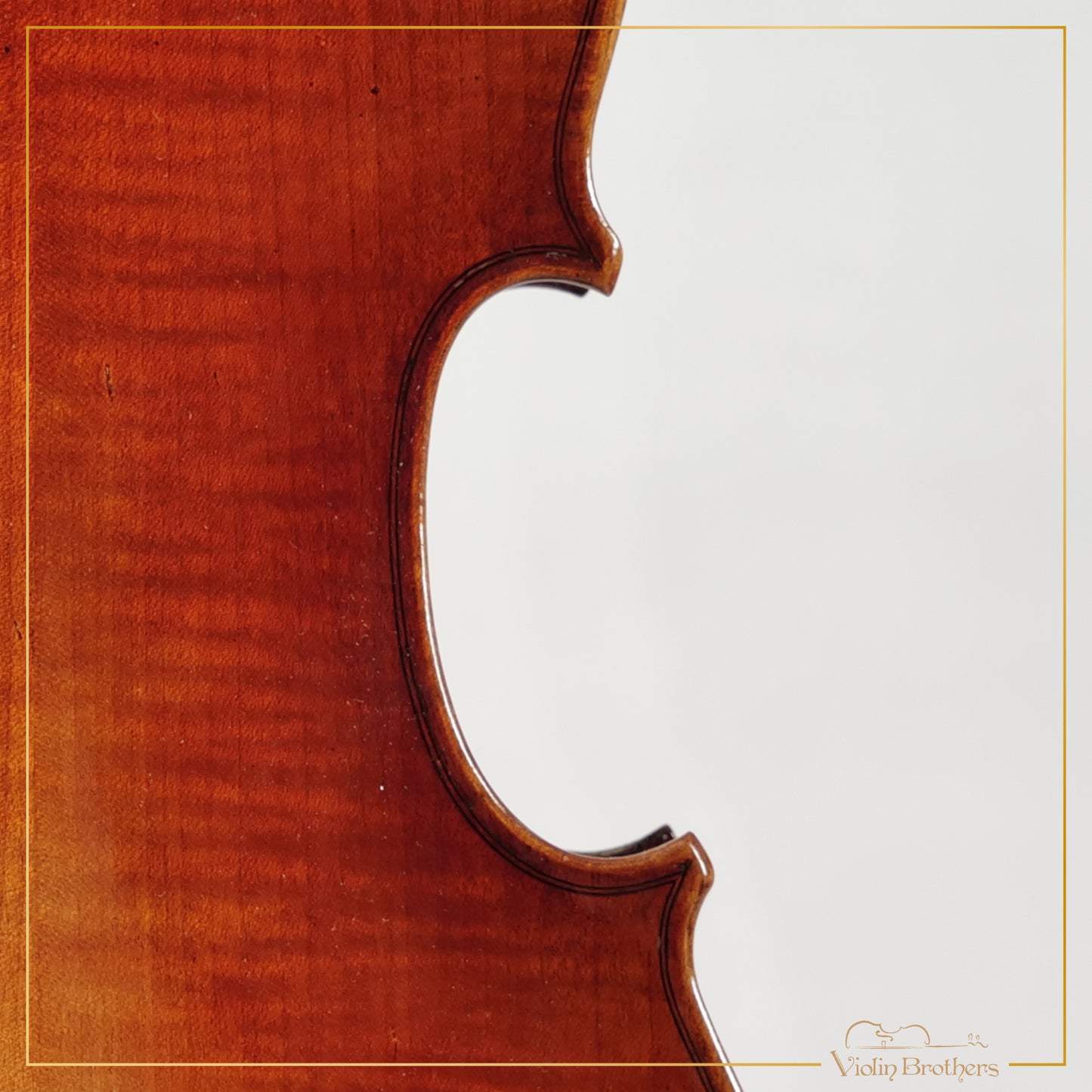New Viola A3 15" | V26153