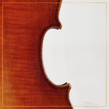 New Viola A3 15" | V26153