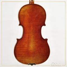 New Viola A3 15" | V26153