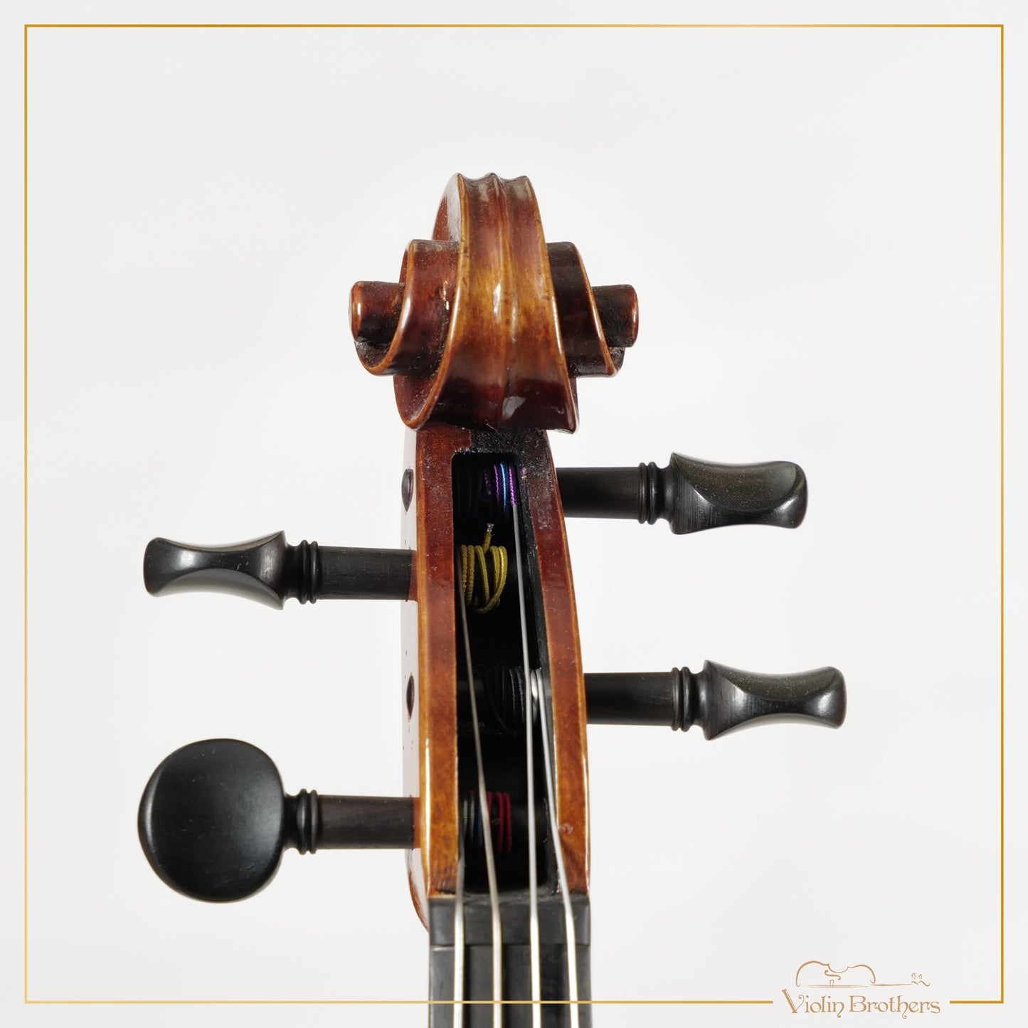 New Viola A3 15" | V26153