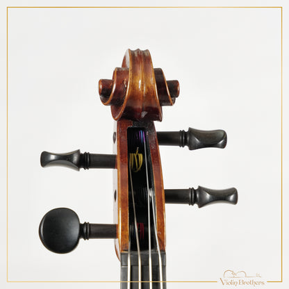 New Viola A3 15" | V26153