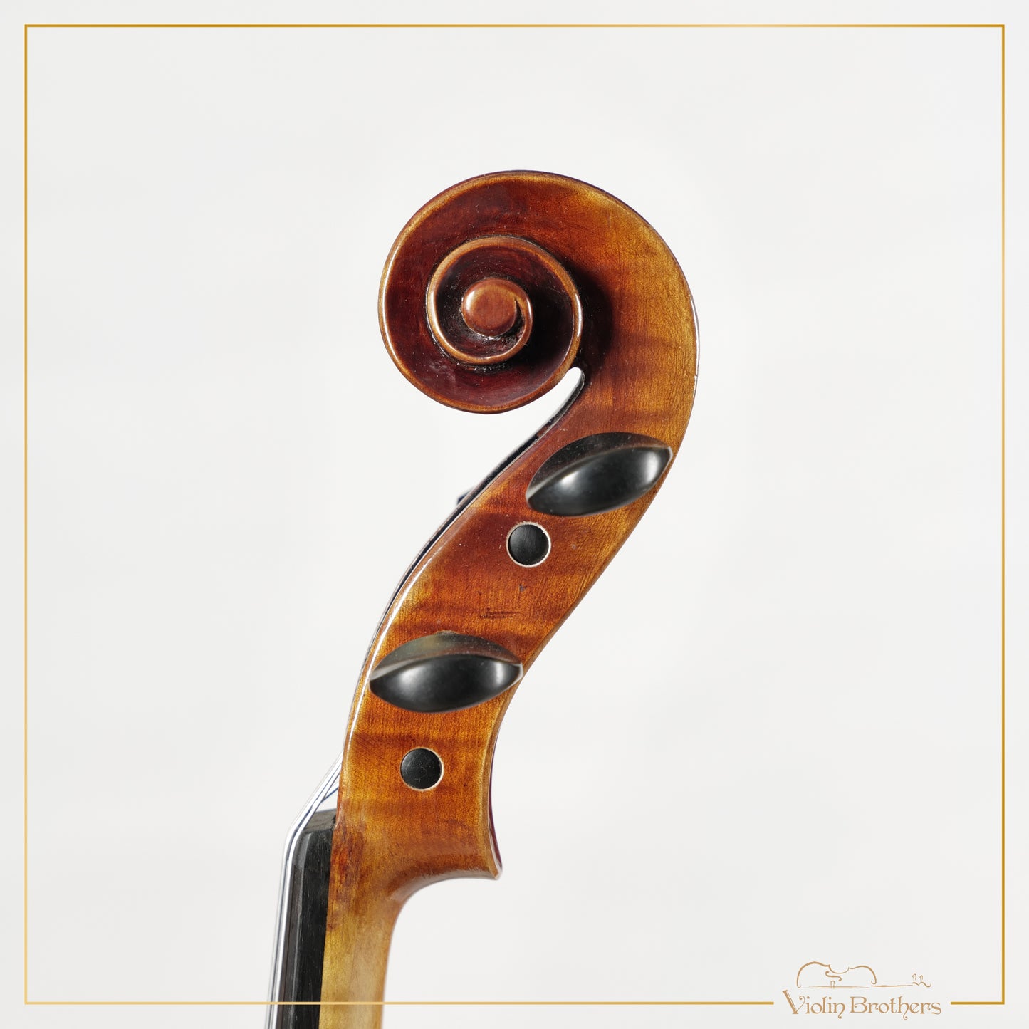 New Viola A3 15" | V26153