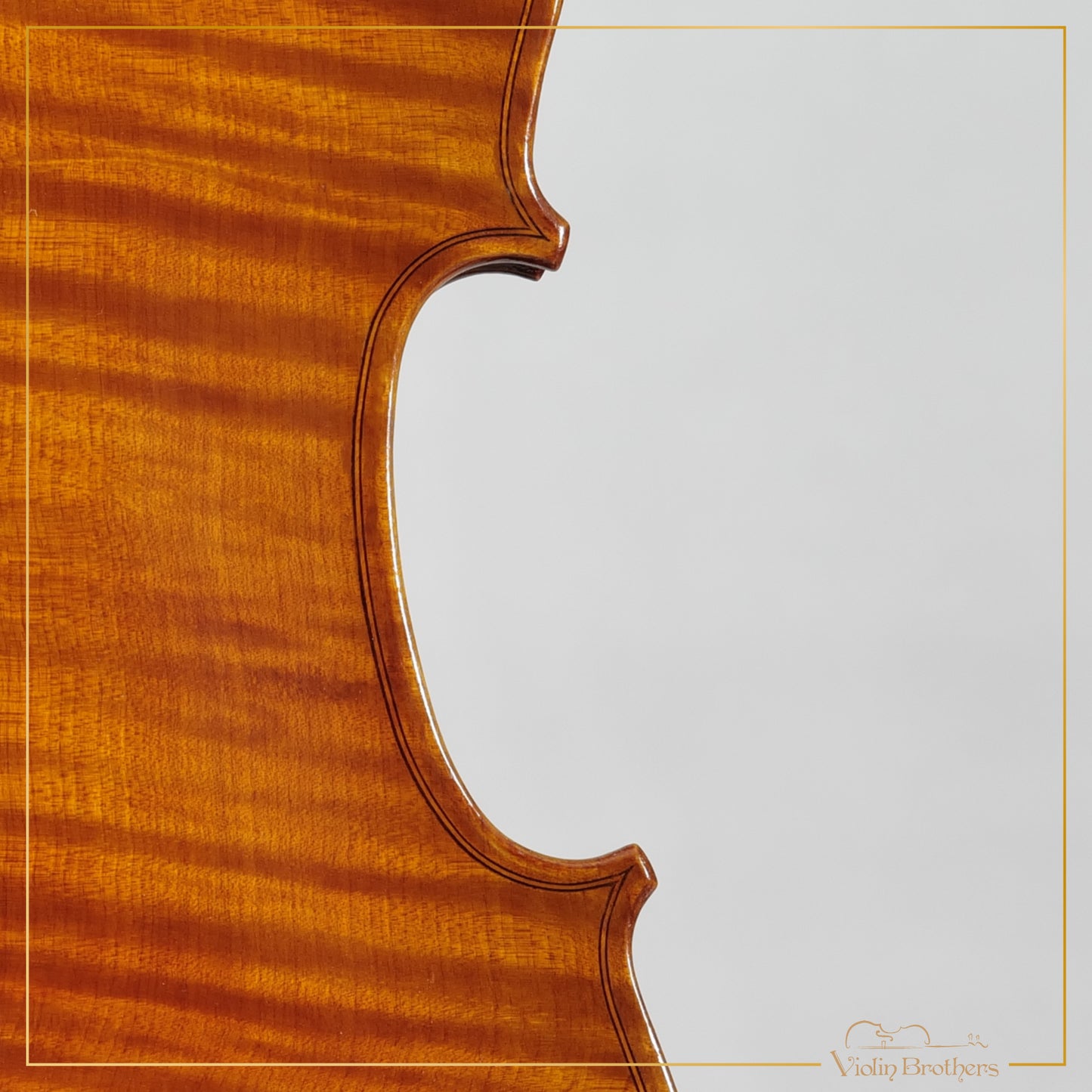 New Viola A3 16.5" | V21501