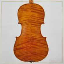 New Viola A3 16.5" | V21501