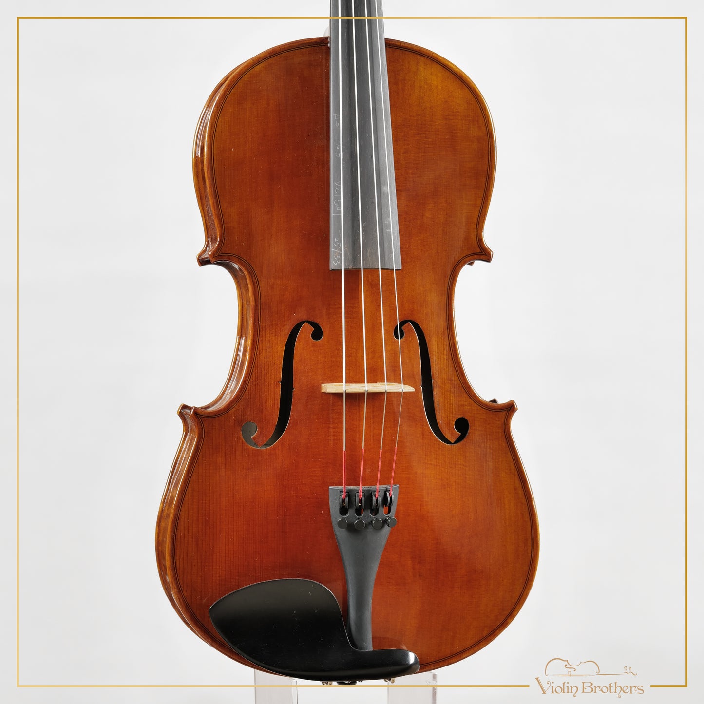 New Viola A3 16.5" | V21501