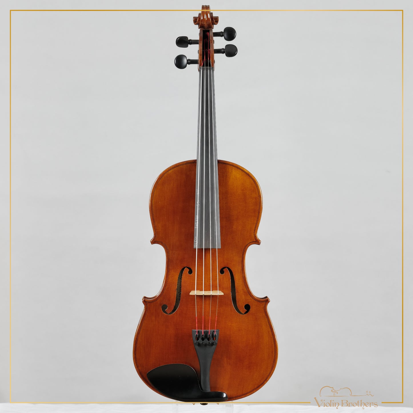 New Viola A3 16.5" | V21501
