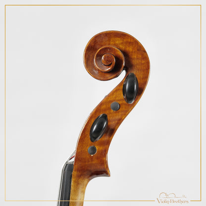 New Viola A3 16.5" | V21501