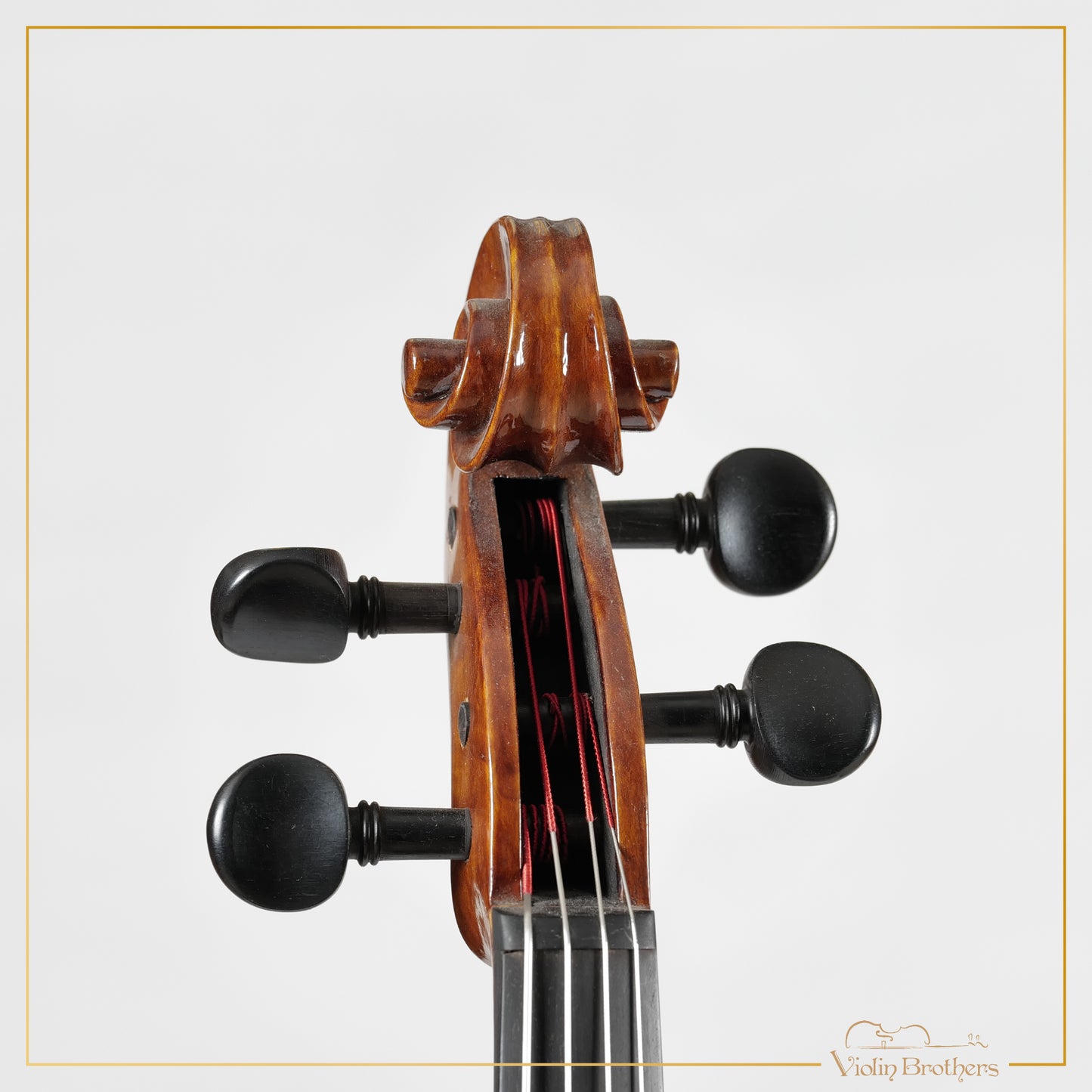 New Viola A3 16.5" | V21501
