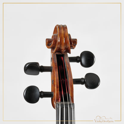 New Viola A3 16.5" | V21501