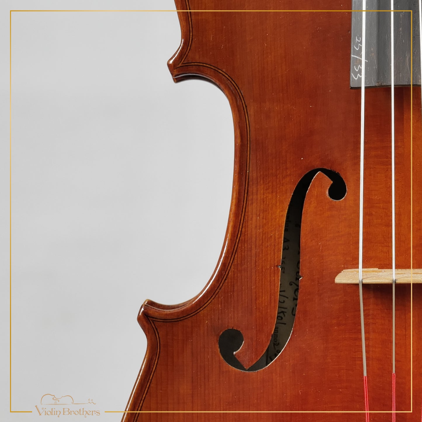 New Viola A3 16.5" | V21501