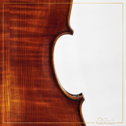 New Viola A5 15.5" | V22404