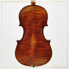 New Viola A5 15.5" | V22404