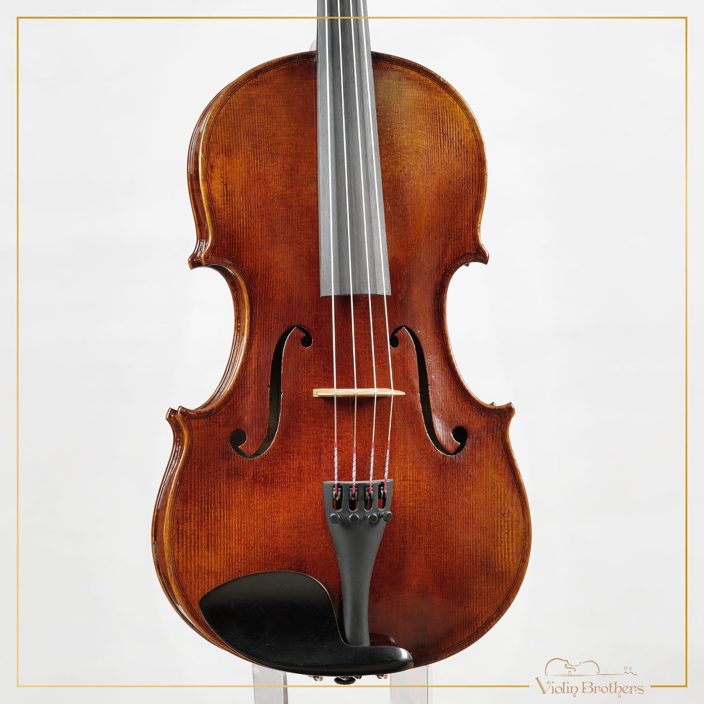New Viola A5 15.5" | V22404