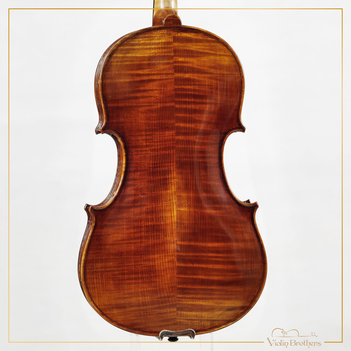 New Viola A5 15.5" | V22404