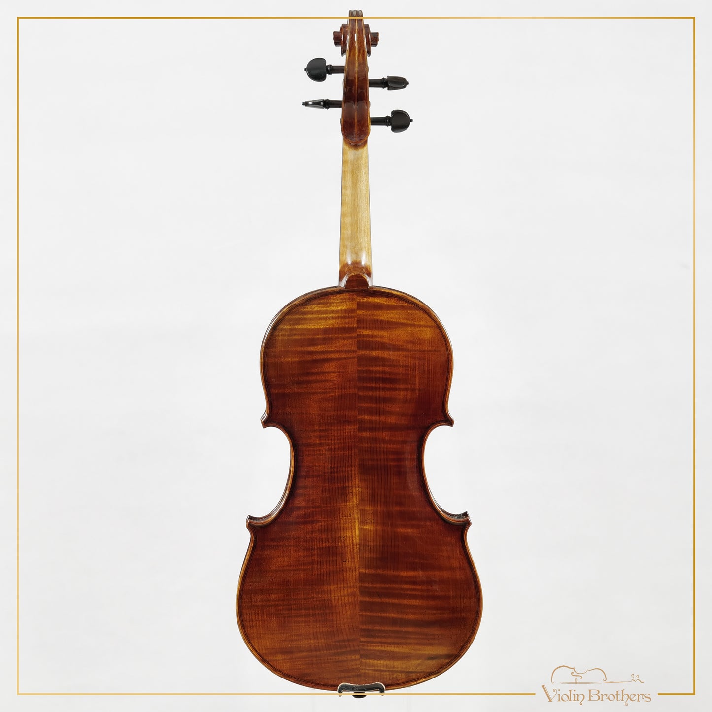 New Viola A5 15.5" | V22404