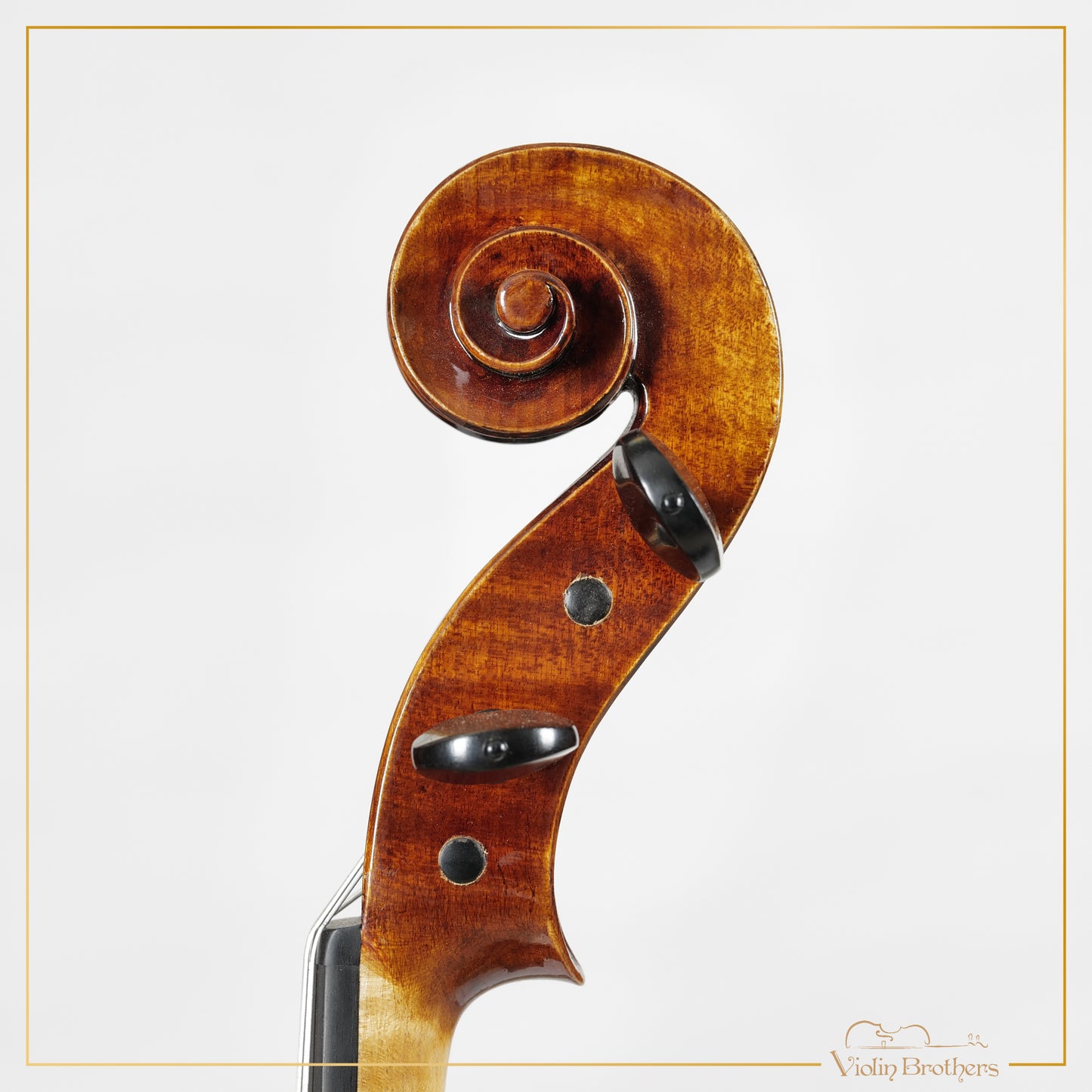 New Viola A5 15.5" | V22404