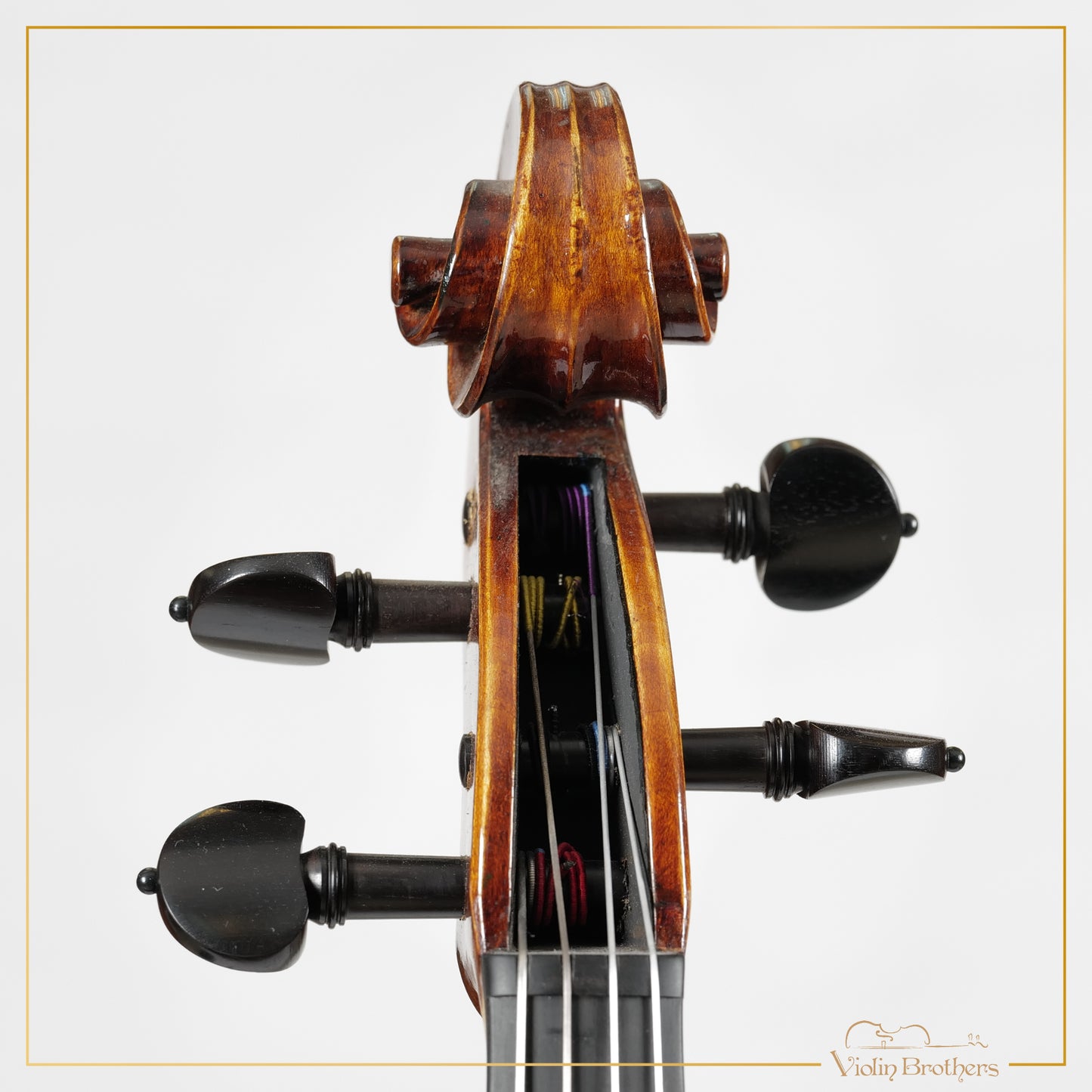New Viola A5 15.5" | V22404